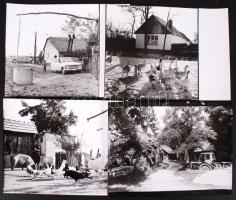 1960-1980 Élet a tanyán, 13db sajtófotó, későbbi nagyítások, 18x24cm