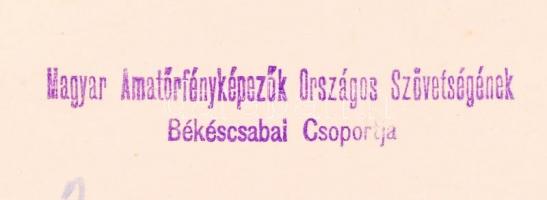 1933 Thöresz Dezső (1902-1963): Vízesés. Vintage fotó, aláírt, feliratozott, a technika részletes le...