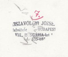 1953 Tiszavölgyi József: Ünnepélyes tanévnyitó "Pártunk szerető gondoskodásával". 9db vint...