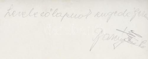 cca 1940-1944 Inkey Tibor vintage fotója Bárczy Kató színésznőről, hátoldalán a modell aláírásával, ...