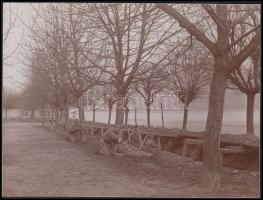 cca 1916 3 db I. világháborús fotó hadikórházról, katonai szakácsokról / 3 World War I. photos of military hospitals and cooks