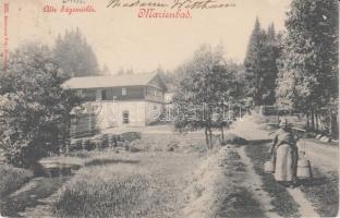 Marianske Lazne, Alte Sägemühle / mill