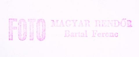 cca 1970-1975 Bartal Ferenc és Ruttkay Pál: Rendőrnapi ünnepség és bemutató, 11 db 13x18 cm-es fényk...