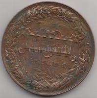 Schwartz István (1851-1924) 1885. "Országos Átalános Kiállítás Budapesten - 1885 / Az Érdem Jel...