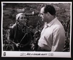 cca 1950-1955 A Balaton partján forgatott Ház a szilák alatt c. magyar film négy jelenete 24x30 cm