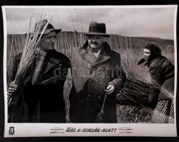 cca 1950-1955 A Balaton partján forgatott Ház a szilák alatt c. magyar film négy jelenete 24x30 cm