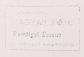 cca 1955-1960 Pálvölgyi Ferenc: Kapálók; vintage fotó szerzői pecséttel, 18x18 cm