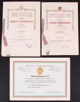 1957-1985 Pióker Ignác országgyűlési képviselő szabadalmi bejelentései és megbízólevelei