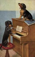 Dogs, music