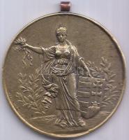 ~1920-1930. "Magyar Athletikai Szövetség Kerületi Bajnoksága" Br díjérem szign.: Ludvig Bu...