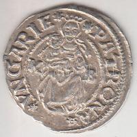 1541K-B Denár Ag "I. Ferdinánd" (0,54g) T:1-,2 Huszár 935., Unger II 745.a