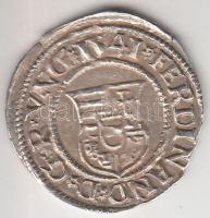 1541K-B Denár Ag "I. Ferdinánd" (0,54g) T:1-,2
Huszár 935., Unger II 745.a