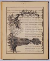 Cca 1940 A tenger állatvilága. Írta: Hillenbrand Aranka. Konzulens: Dr. Mődlinger Gusztáv