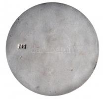 1993. "Horthy Miklós kenderesi újratemetése" gipsz plakett, hátoldalon 201-es sorszámmal (...