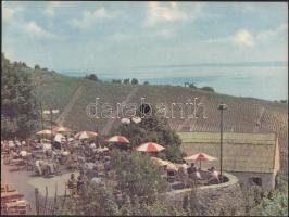 3 db Colorvox képeslap hanglemez