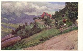 14 db régi, osztrák képeslap: Bad Hofgastein (8) és Bad Gastein (6) / 14 Austrian 'Künstlerpost...