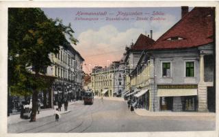 Nagyszeben, Hermannstadt; Disznódi utca, Julius Wermescher kereskedése / street, shop