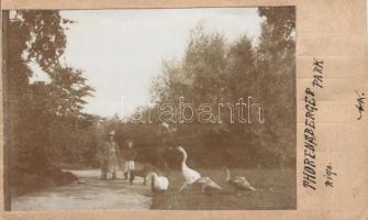 Riga, Thorensberger park, photo glued to postcard (fa)