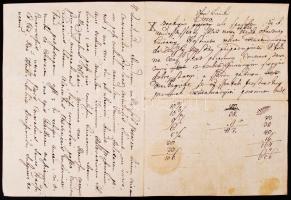 1818 Újbánya szabad királyi város kiváltságlevele  Édel András és fia számára, melynek értelmében me...