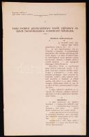 cca 1880 Helyi érdekű gőzmozdony vasút építésére és üzleti berendezésére vonatkozó feltételek. Félig kitöltött blanketta szerződés 8p.