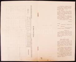 cca 1880 Helyi érdekű gőzmozdony vasút építésére és üzleti berendezésére vonatkozó feltételek. Félig...