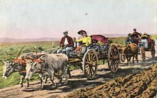 Italian folklore, ox cart
