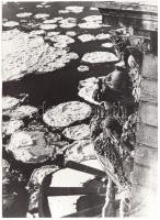 cca 1940 Dr. Sevcsik Jenő (1899-1996): Zajló jég a Dunán. Vintage fotó, jelzetlen, a szerző hagyatékából, 18x13cm