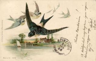 1899 Swallows 'Edgar Schmidt, Serie 13 No. 6' litho