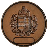 DN. "Büntetés-Végrehajtási Szolgálatért" Br emlékérem (65mm) T:2