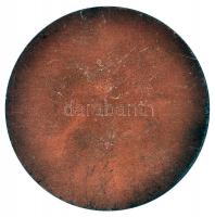 DN. "Komárom Megyei Borverseny" Br emlékérem (50mm) T:2