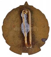 1960. "Munkásőr" szolgálati zománcozott aranyozott jelvény 5 év szolgálat után dísztokban ...