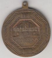 1917. "Az AVIATIKÁÉRT" Br medál (28mm), melyet a '917-es Hadirepülőgép kiállításon ár...