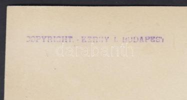 1920-1930 Kerny István (1879-1963): A nyáj terelése. Vintage fotó, hátoldalán szerzői pecséttel jelz...