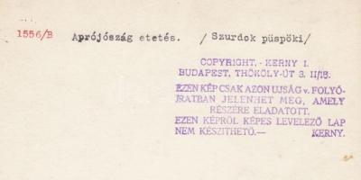 cca 1920-1930 Kerny István (1879-1963): Aprójószág etetése Szurdokpüspökiben. Vintage fotó, hátoldal...
