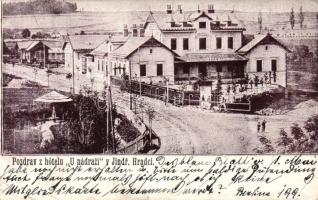 Jindrichuv Hradec, Hotel u Nadrazi / railway hotel (wet damage)