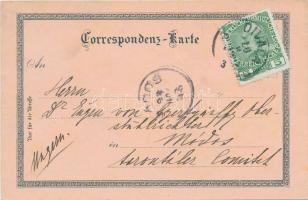 1899 Vienna, Wien; Krebs Apotheke am Hohen Markt / pharmacy, floral