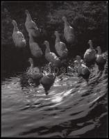 1940 Járai Rudolf (1913-1993): Falusi idill. Vintage, szerzői pecséttel jelzett, aláírt, 24x18cm