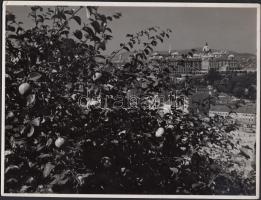 1940 Dulovits Jenő (1903-1972): Királyi palota a Tabán felől. Vintage városkép, pecséttel jelzett, 18x24cm