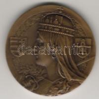 cca 1920-as évek Pénzverő látogatási érme Br T:2 eredeti dobozban