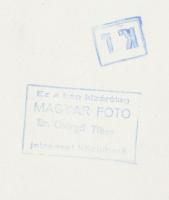 1945-1950 Dr. Csörgeő Tibor (1869-1868) vintage fotója gyermekekről, hátoldalán pecséttel jelzett, 1...