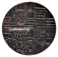 DN. Szocialista plakett jelzés nélkül (59mm) T:1