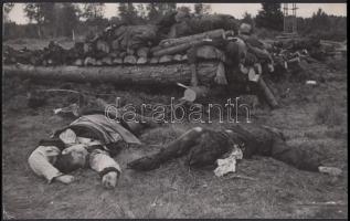 1944 "A fasiszta szörnyetegek a békés szovjet lakosság százait ölték meg. Leningrád egyik elővárosában máglya, amelyen öregeket, asszonyokat és gyerekeket égettek el". Feliratozott szovjet sajtófotó, 18x3cm