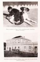 Világjárók Utazások és kalandok: Incze Antal: Rio Grande – Trieszt. Bp. é.n. Franklin. 148...