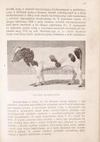 Cselkó István - Szarvasmarhatenyésztés. Bp. 1921. Pátria. 328 p. Képekkel. Későbbi félvászon kötésbe...