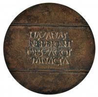 ~1970 "Hazafias Népfront Országos Tanácsa-Kiváló Társadalmi Munkáért" nagyalakú Br emlékpl...