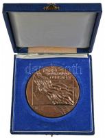 ~1970 "Hazafias Népfront Országos Tanácsa-Kiváló Társadalmi Munkáért" nagyalakú Br emlékpl...