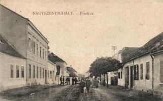 Nagyszentmihály, Fő utca, Mayer Károly kereskedése / main street, shop (fl)