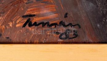 Turcsán Miklós (1944-): Tájkép ketreccel. Olaj, karton, jelzett, újszerű keretben 38×26 cm