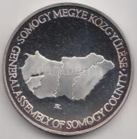 DN. "Somogy Megye Közgyűlése / Címer" ezüstözött fém emlékérem dísztokban. Szign.: BL (42mm) T:PP