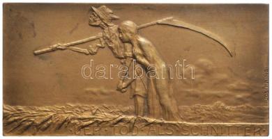 Ausztria ~1920. Dunai áradásnak emléket állító bronz propaganda plakett (segélyalap támogatás céljából kibocsátva). Szign.: Joseph Prinz (40x80mm) T:2 Austria ~1920. "Der Tod Als Schnitter" Br propaganda plaque. Sign: Joseph Prinz (40x80mm) C:XF